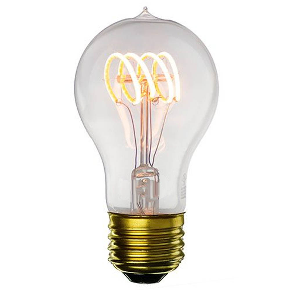 Bulb & Lamps